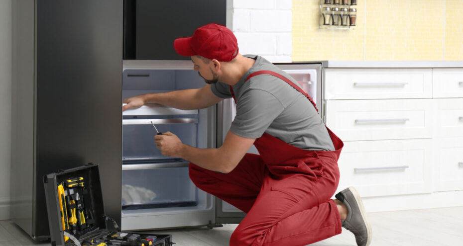 Appliance (Installation and Repair)
