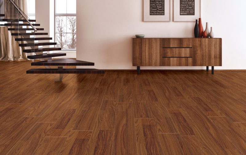 533-shutterstock_772176259-ok-MRG-copy 533-shutterstock_772176259-ok-MRG-copy