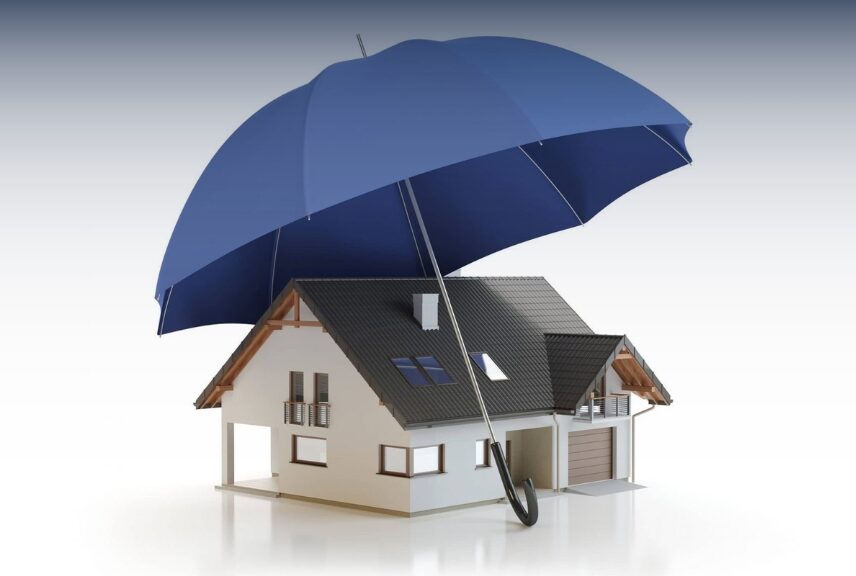 xr:d:DAFMzNfA_vs:119,j:10663654,t:22120606